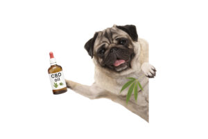CBD Products