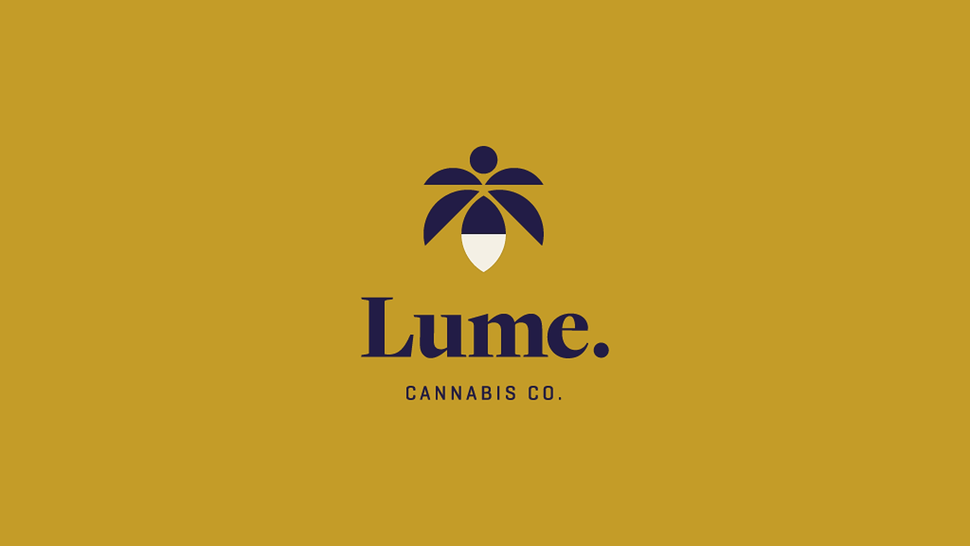 Usb Charger  Lume Cannabis Co. - Michigan's Largest Cannabis Company