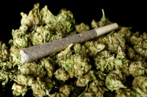 Nevada Made Marijuana